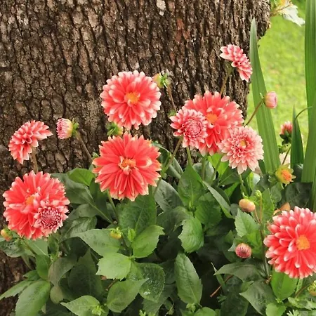 With A Parking Space - 7854 Abbazia