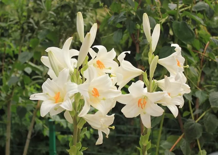 With A Parking Space - 7854 3*