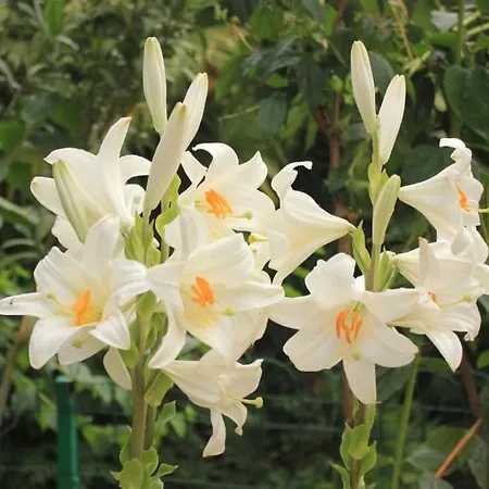 With A Parking Space - 7854 3*