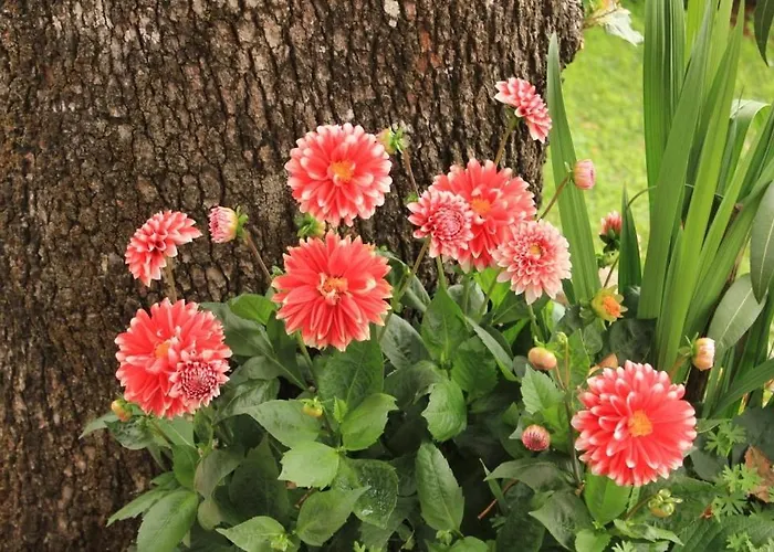 With A Parking Space - 7854 Опатия